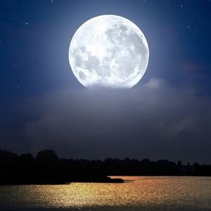 Meet your Posher, Patty